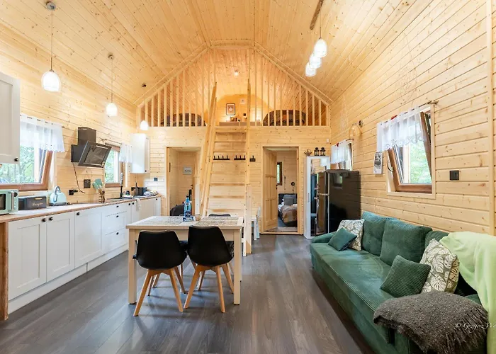 Pan Modrzew - Ogrodzony Teren Pet Friendly Zachełmie